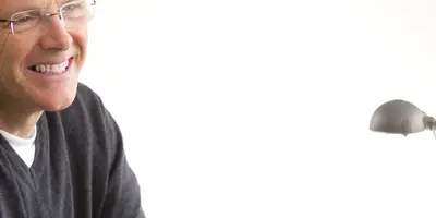 Working As A Qualified Social Worker In Either The Public Or Private Sector